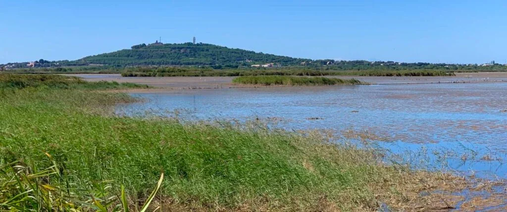 mont-saint-loup